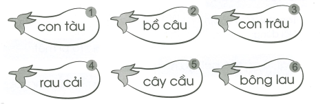 Vở bài tập Tiếng Việt lớp 1 trang 10, 11 Bài 107: au, âu | Cánh diều