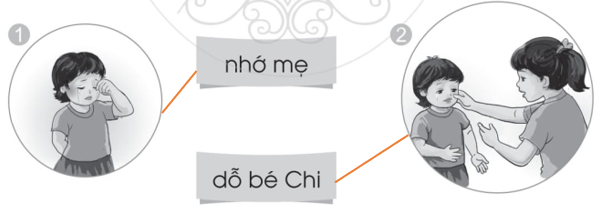 Vở bài tập Tiếng Việt lớp 1 trang 22 Bài 29: tr, ch | Cánh diều