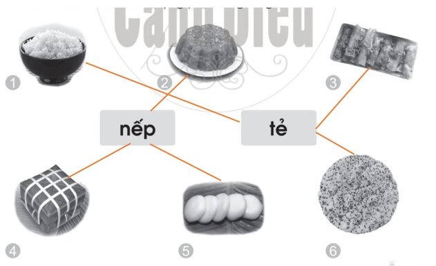 Vở bài tập Tiếng Việt lớp 1 trang 31 Bài 42: êm, êp | Cánh diều