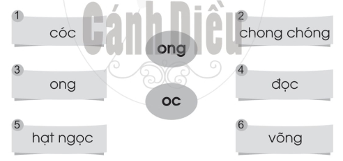 Vở bài tập Tiếng Việt lớp 1 trang 62, 63 Bài 84: ong, oc | Cánh diều