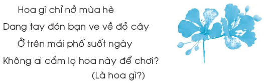 Giải Vở bài tập Tiếng Việt lớp 1 trang 5, 6, 7 Chủ đề 19: Ngàn hoa khoe sắc - Chân trời sáng tạo