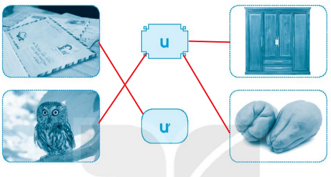 Vở bài tập Tiếng Việt lớp 1 Tập 1 trang 15 Bài 13: U, u, Ư, ư