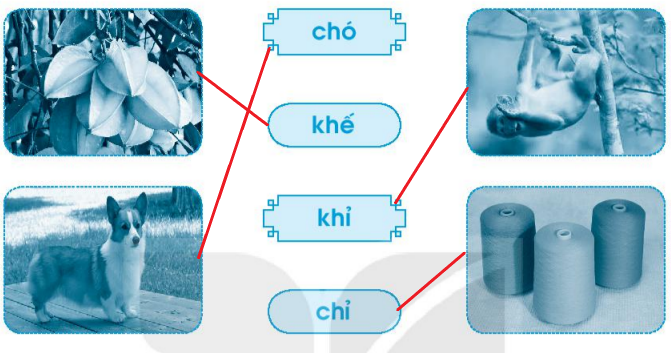 Vở bài tập Tiếng Việt lớp 1 Tập 1 trang 16 Bài 14: Ch, ch, Kh, kh