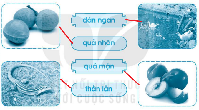 Vở bài tập Tiếng Việt lớp 1 Tập 1 trang 30 Bài 31: an, ăn, ân