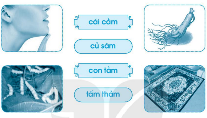 Vở bài tập Tiếng Việt lớp 1 Tập 1 trang 33 Bài 34: am, ăm, âm