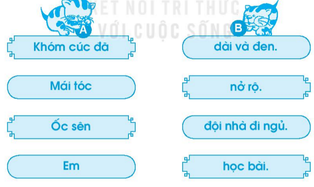 Vở bài tập Tiếng Việt lớp 1 Tập 1 trang 43 Bài 47: oc, ôc, uc, ưc