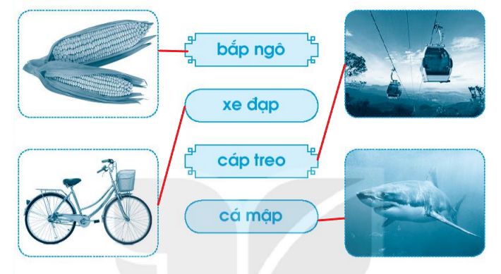 Vở bài tập Tiếng Việt lớp 1 Tập 1 trang 48 Bài 53: ap, ăp, âp