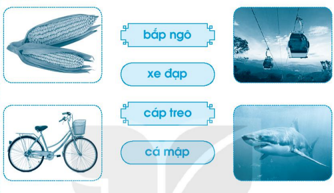 Vở bài tập Tiếng Việt lớp 1 Tập 1 trang 48 Bài 53: ap, ăp, âp