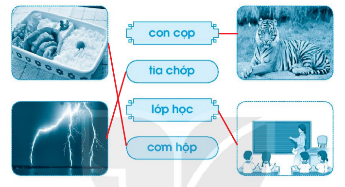 Vở bài tập Tiếng Việt lớp 1 Tập 1 trang 49 Bài 54: op, ôp, ơp