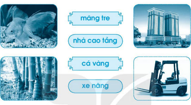 Vở bài tập Tiếng Việt lớp 1 Tập 1 trang 53 Bài 59: ang, ăng, âng