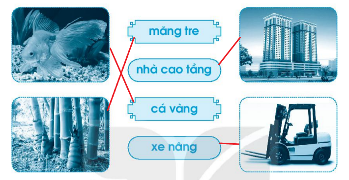 Vở bài tập Tiếng Việt lớp 1 Tập 1 trang 53 Bài 59: ang, ăng, âng