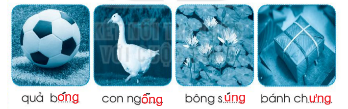 Vở bài tập Tiếng Việt lớp 1 Tập 1 trang 54 Bài 61: ong, ông, ung, ưng