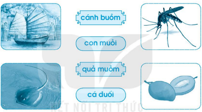 Vở bài tập Tiếng Việt lớp 1 Tập 1 trang 58 Bài 66: uôi, uôm