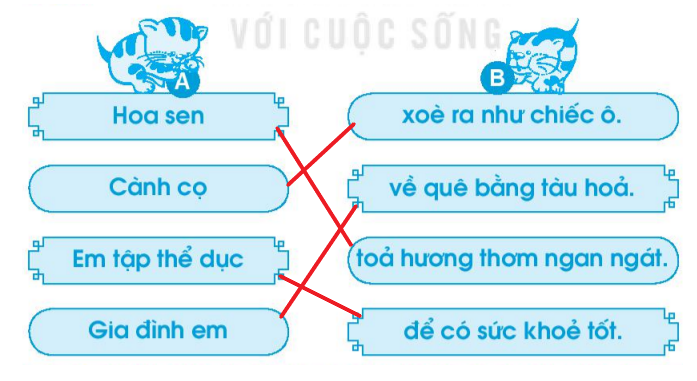 Vở bài tập Tiếng Việt lớp 1 Tập 1 trang 65 Bài 74: oa, oe