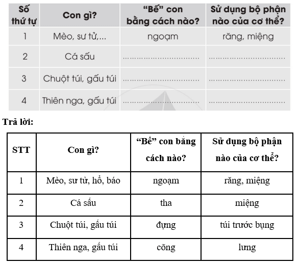 Vở bài tập Tiếng Việt lớp 2 Tập 2 trang 26, 27, 28, 29 Bài 25: Thế giới rừng xanh