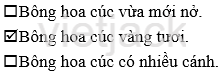 Tập 1 trang 23 Bài 1: Bọ rùa tìm mẹ