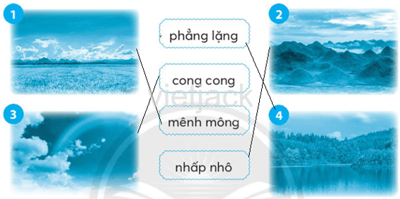 Tập 2 trang 82 Bài 1: Cây nhút nhát