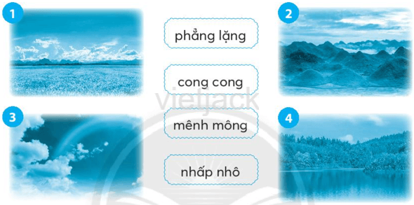 Tập 2 trang 82 Bài 1: Cây nhút nhát