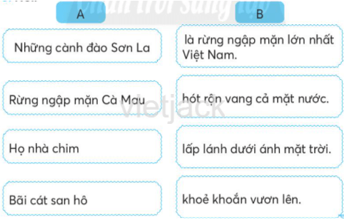 Tập 2 trang 71 Bài 2: Sóng và cát ở Trường Sa