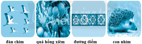 Tập 2 trang 40 Bài 2: Rừng ngập mặn Cà Mau