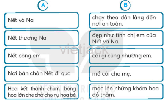 Bài 25: Sự tích hoa tỉ muội