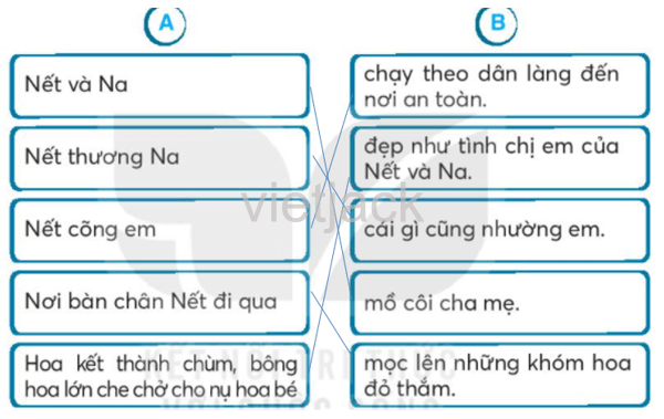 Bài 25: Sự tích hoa tỉ muội