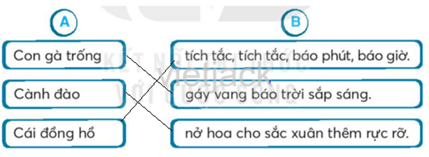 Bài 4: Làm việc thật là vui