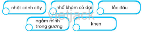 Bài 5: Em có xinh không