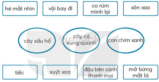 Bài 7: Cây xấu hổ