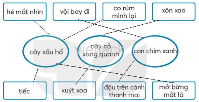 Bài 7: Cây xấu hổ