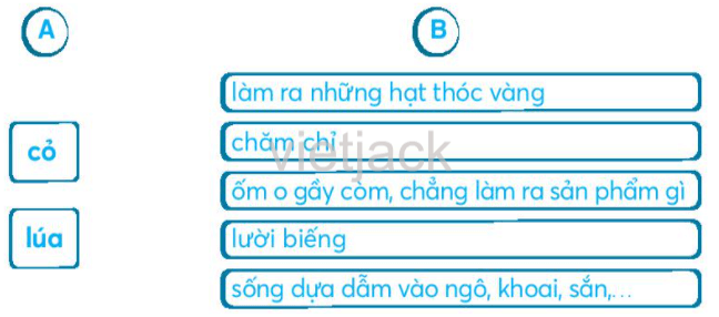 Ôn tập và đánh giá cuối học kỳ 1