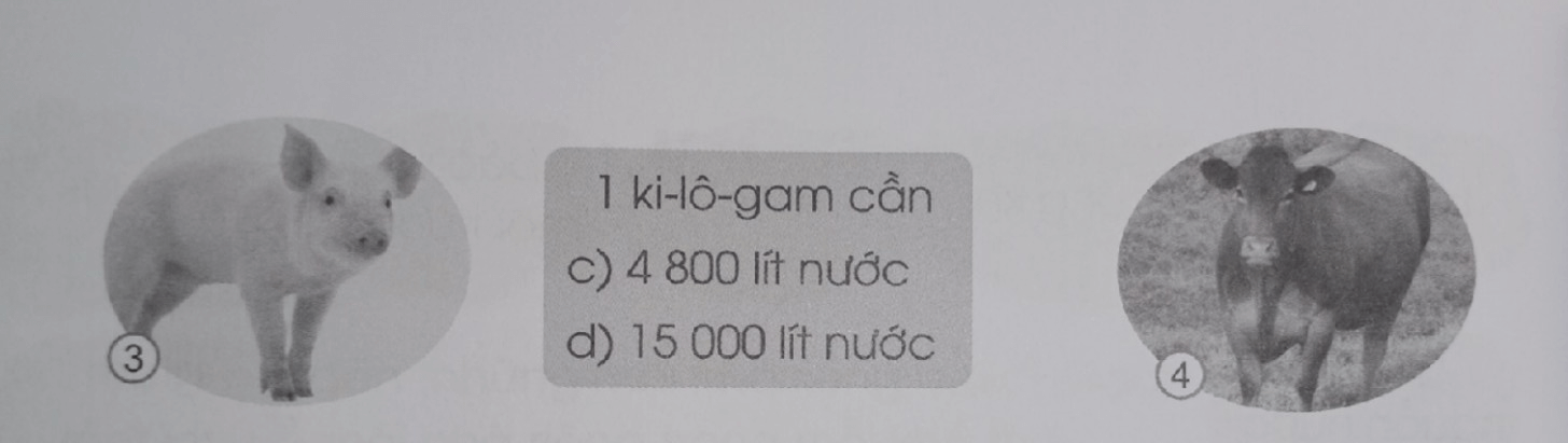 Tiết kiệm nước trang 61, 62 Vở bài tập Tiếng Việt lớp 3 Tập 2 | Cánh diều