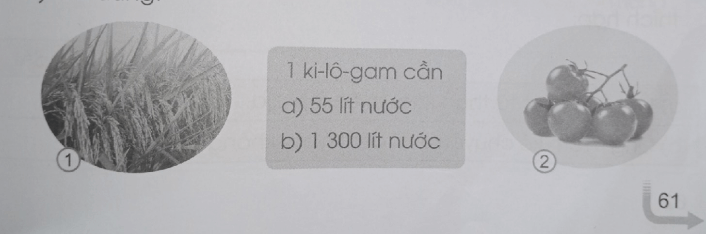 Tiết kiệm nước trang 61, 62 Vở bài tập Tiếng Việt lớp 3 Tập 2 | Cánh diều