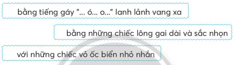 Vở bài tập Tiếng Việt lớp 3 Bài 1: Cậu bé và mẩu san hô trang 67, 68 Tập 2 | Chân trời sáng tạo