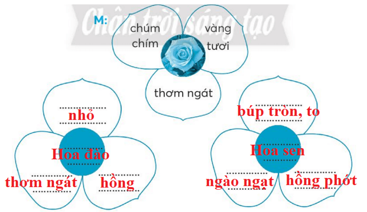 Vở bài tập Tiếng Việt lớp 3 Bài 4: Hoa cỏ sân trường trang 22, 23 Tập 1 | Chân trời sáng tạo