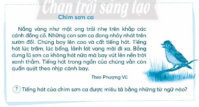 Vở bài tập Tiếng Việt lớp 3 Đánh giá cuối học kì 1 trang 97, 98, 99, 100, 101, 102, 103 Tập 1 | Chân trời sáng tạo