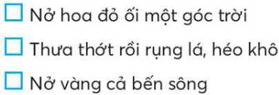 Vở bài tập Tiếng Việt lớp 3 Tiết 5 trang 75 trang 47, 48 Tập 2 | Chân trời sáng tạo