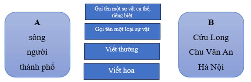 Vở bài tập Tiếng Việt lớp 4 Bài 3: Anh em sinh đôi | Kết nối tri thức