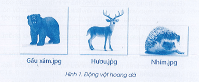 Vở bài tập Tin học lớp 3 trang 38, 39, 40, 41 Bài 1: Sắp xếp phân loại các tệp dữ liệu trong máy tính | Cánh diều