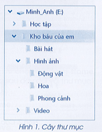 Vở bài tập Tin học lớp 3 trang 41, 42, 43 Bài 2: Cây thư mục | Cánh diều