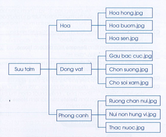 Vở bài tập Tin học lớp 3 trang 41, 42, 43 Bài 2: Cây thư mục | Cánh diều