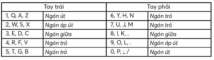 Vở bài tập Tin học lớp 3 trang 22, 23, 24, 24, 25 ,26 Ôn tập học kì I | Chân trời sáng tạo