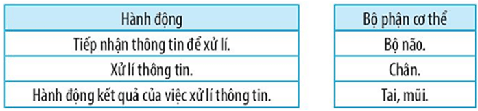 Vở bài tập Tin học lớp 3 trang 9, 10, 11 Bài 2: Xử lí thông tin | Kết nối tri thức (ảnh 4)