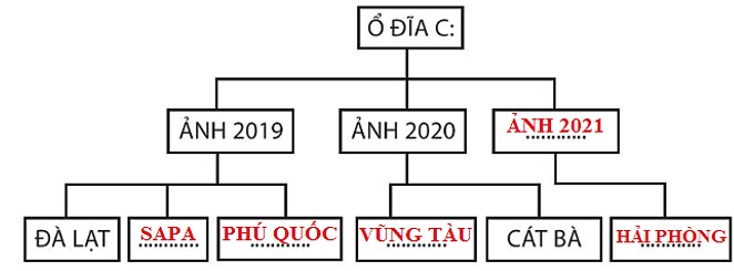 Vở bài tập Tin học lớp 3 trang 32, 33, 34, 35 Bài 8: Sơ đồ hình cây. Tổ chức thông tin trong máy tính | Kết nối tri thức (ảnh 4)