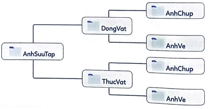 Vở bài tập Tin học lớp 4 Cánh diều Bài 1: Tạo và xóa thư mục, đổi tên và xóa tệp