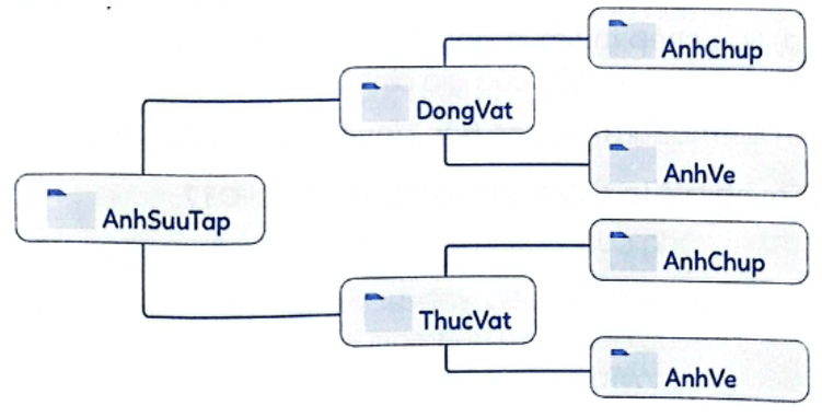 Vở bài tập Tin học lớp 4 Cánh diều Bài 2: Di chuyển, sao chép thư mục và tệp