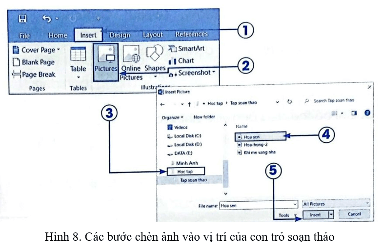 Vở bài tập Tin học lớp 4 Cánh diều Bài 4: Chèn ảnh vào văn bản