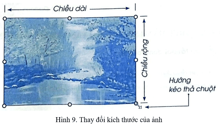 Vở bài tập Tin học lớp 4 Cánh diều Bài 4: Chèn ảnh vào văn bản