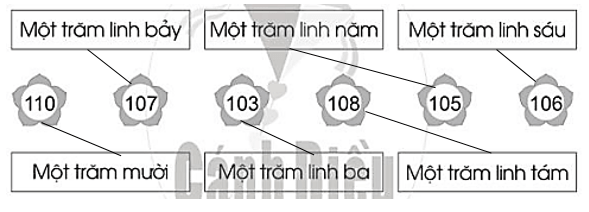 Vở bài tập Toán lớp 2 Cánh diều Bài 73: Các số trong phạm vi 1000 (trang 47)