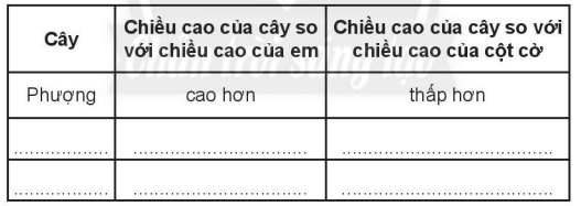 Giải vở bài tập Toán lớp 2 Tập 1 trang 41 Thực hành và trải nghiệm | Chân trời sáng tạo